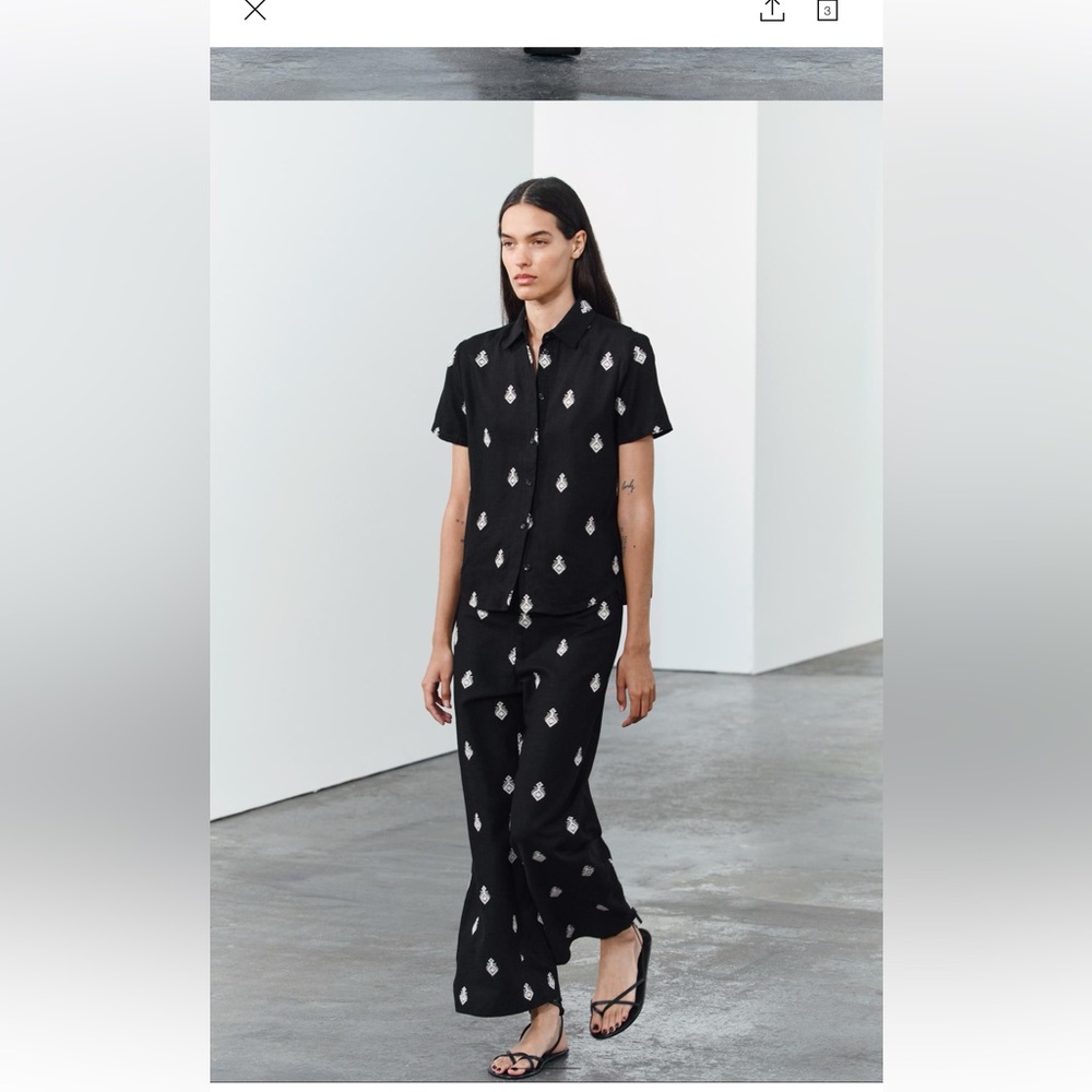 Zara two piece embroidered set
